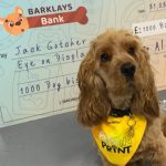 pets in print bone bribery
