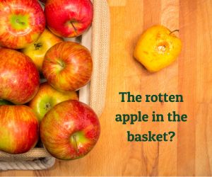 rotten apple next to basket of nice apples
