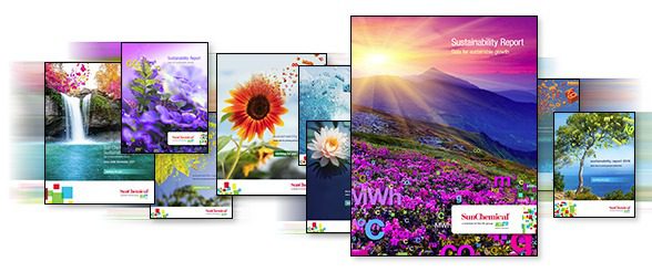 The EcoVadis rating reflects Sun Chemical’s performance across four key areas