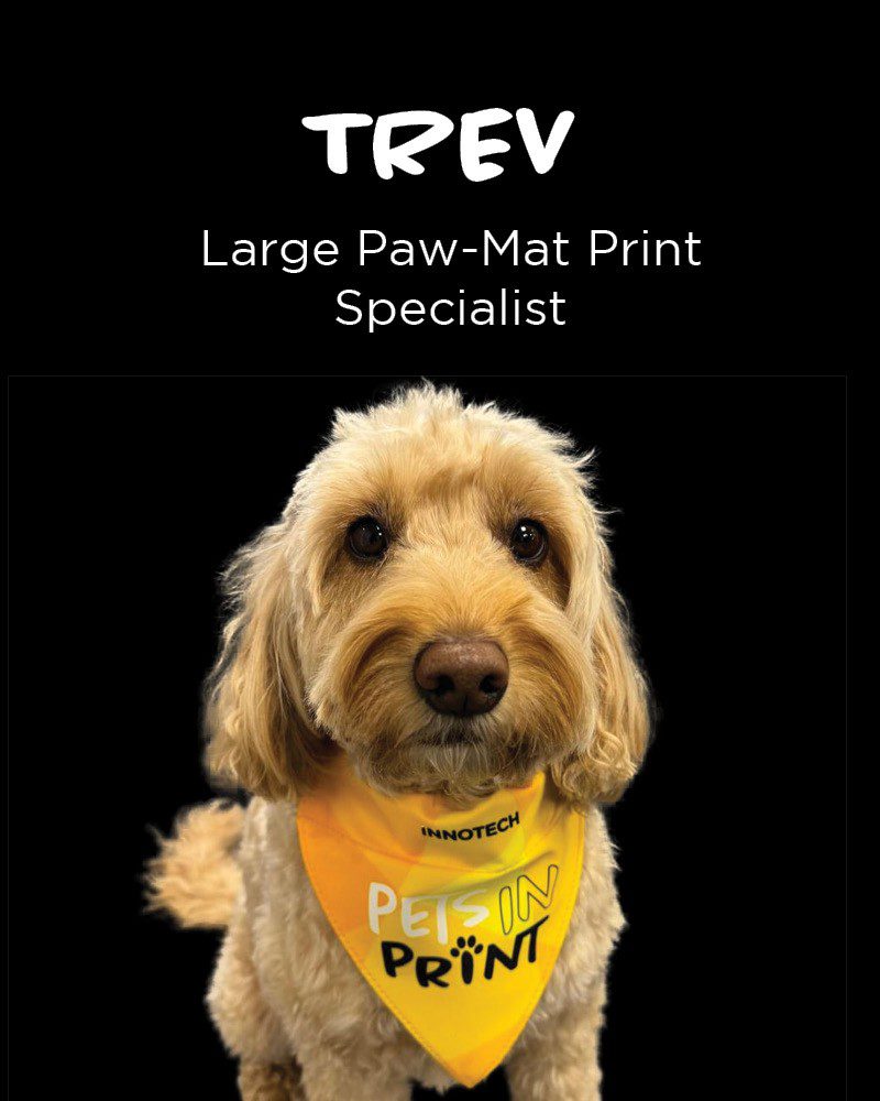 Cute dog wearing Innotech Pets in Print bandana