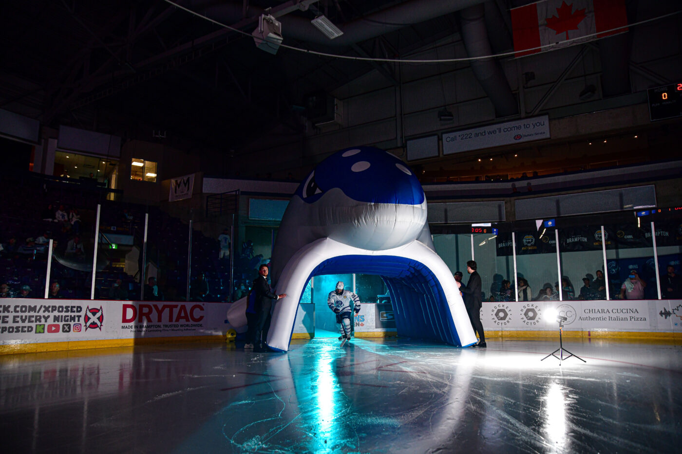 Brampton Steelheads upgrade rink board graphics with Drytac media - Eye ...