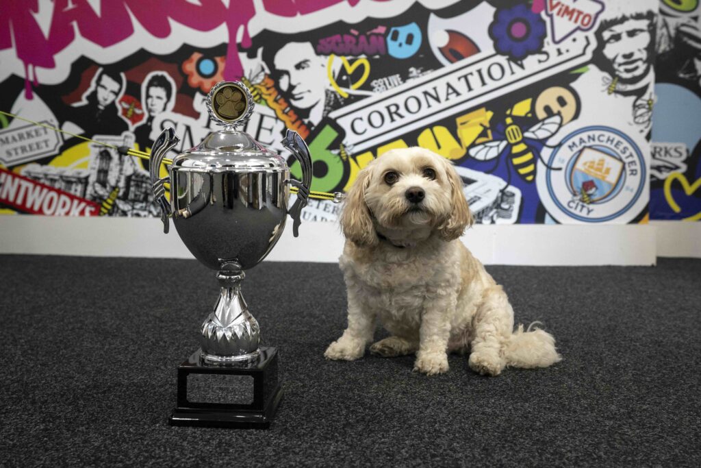 Pets in Print Trophy winner is Gus from Big Art & Banners