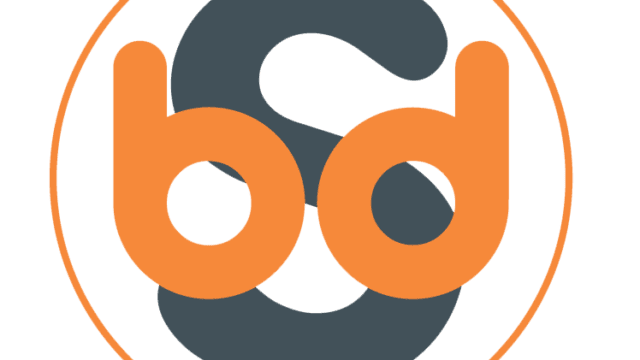 bds-logo.png