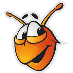 image-13.png
