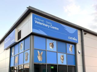Newly installed CVS Vets exterior signage on a veterinary practice completed by Greens the Signmakers.