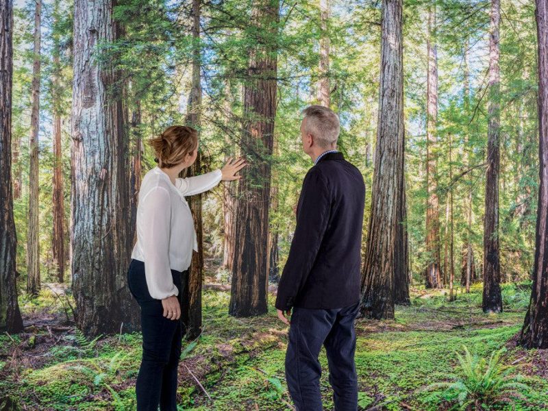 papergraphics digimura wallcovering