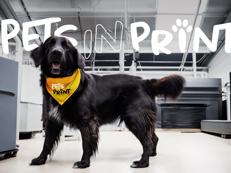 Pets-in-Print