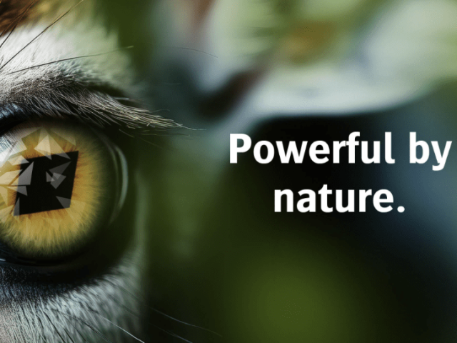 Screenshot 2025-08-12 at 12.19.38