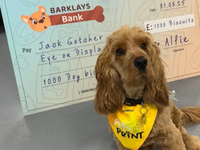 pets in print bone bribery