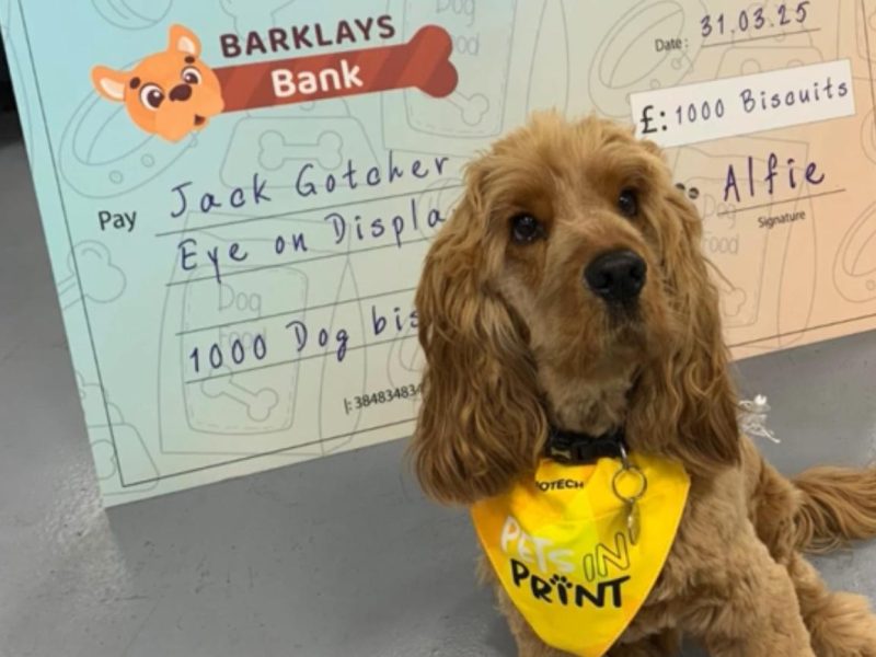 pets in print bone bribery