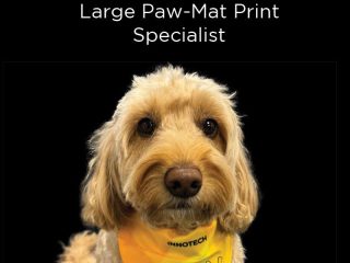 Cute dog wearing Innotech Pets in Print bandana